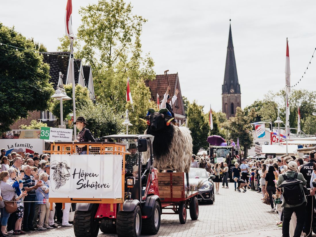 Festwagen mit Heidschnucken-Motiv beim Festumzug